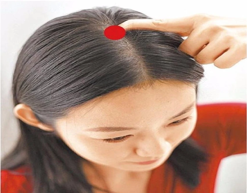 huyệt bách hội