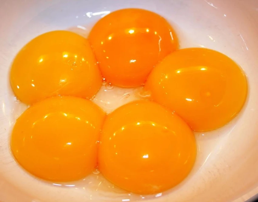 lòng đỏ trứng