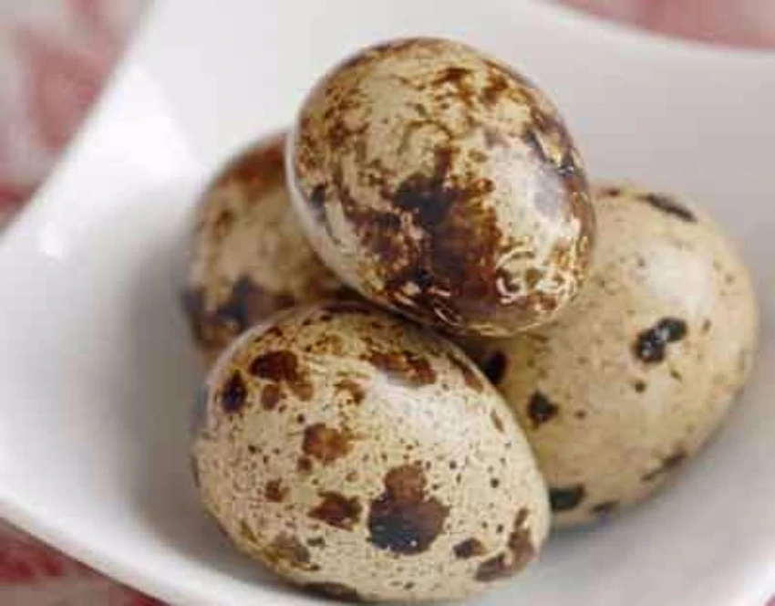 trứng chim cút
