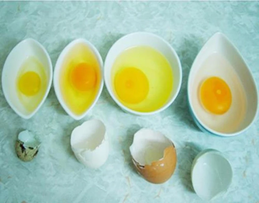 loại trứng nào tốt hơn
