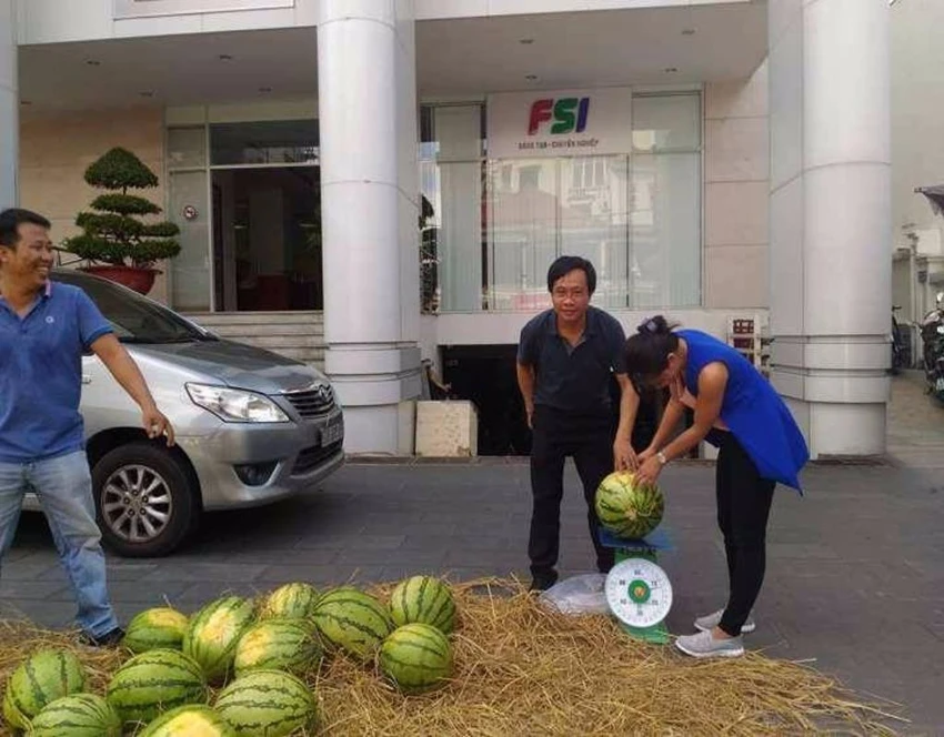 giải cứu dưa hấu