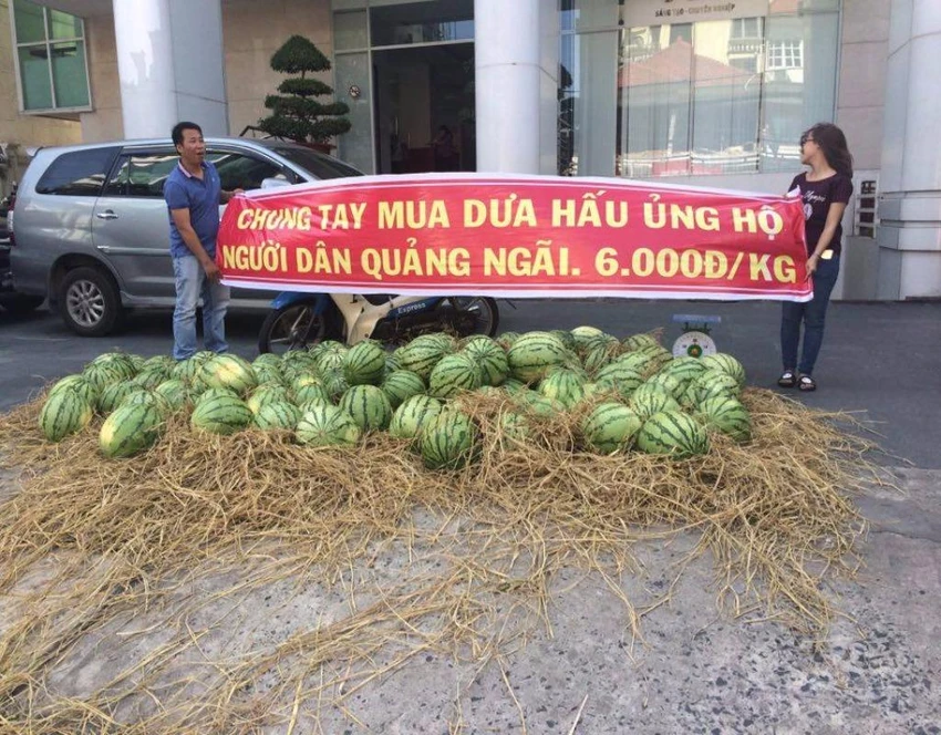 giải cứu dưa