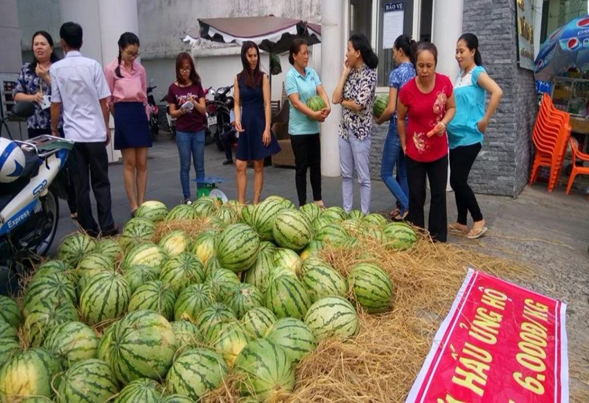 giải cứu dưa2