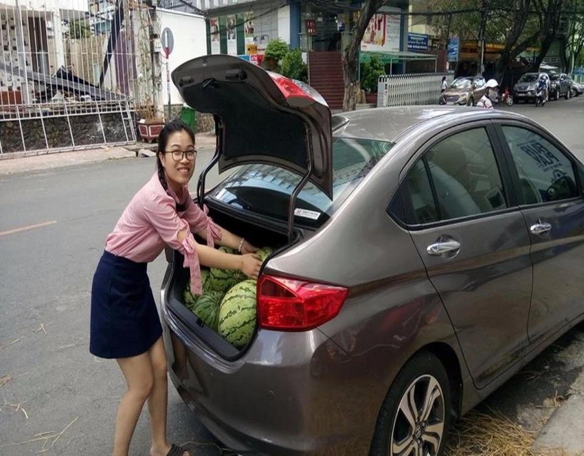 giải cứu dưa3