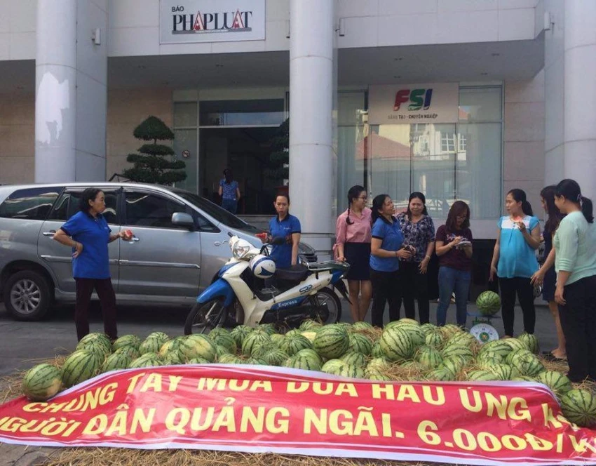 giải cứu dưa4