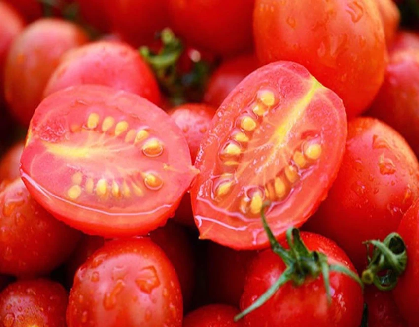 hạt cà chua
