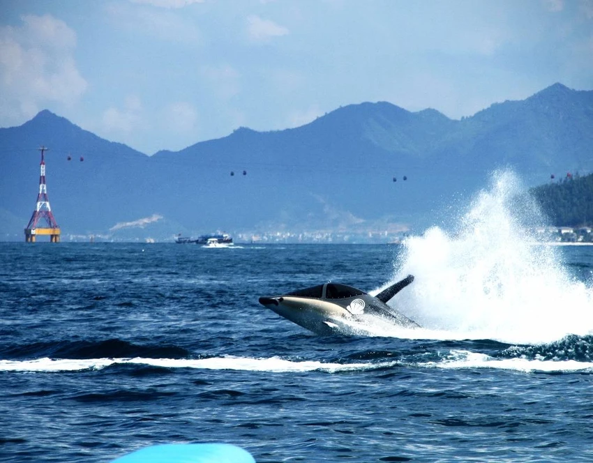 Từ 16-4, đến Nha Trang ‘cưỡi cá mập’ lướt sóng biển ảnh 4