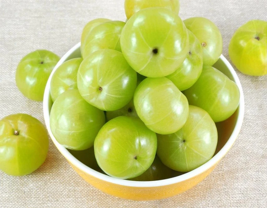 quả lý gai