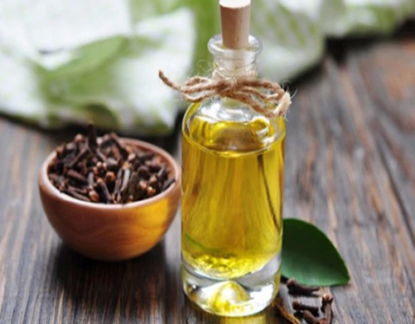 Dầu đinh hương có tác dụng tương tự như thuốc giảm đau