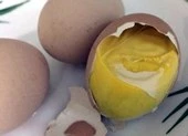 Hột vịt dữa tăng cường 'bản lĩnh đàn ông' đến đâu?