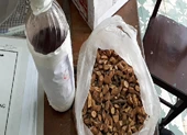 Chai rượu ngâm rễ cây làm 3 người chết có lẫn lá ngón