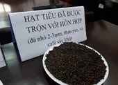 Đã phê chuẩn lệnh bắt khẩn cấp 5 người vụ cà phê nhuộm pin 