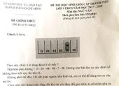 Đề thi HS giỏi môn ngữ văn có câu hỏi toán học