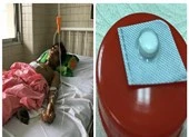 Xót xa chàng trai BaNa nghèo uống thuốc nguyên vỏ 