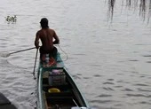 Cá, rùa vừa phóng sinh đã bị ‘vợt’ ngay trên sông