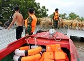 May mà có các anh bộ đội!