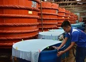 Tiêu chuẩn nước mắm và nước… không phải mắm