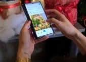 Sắp tới Giáng sinh, cây thông Noel mini đắt hàng trên chợ mạng