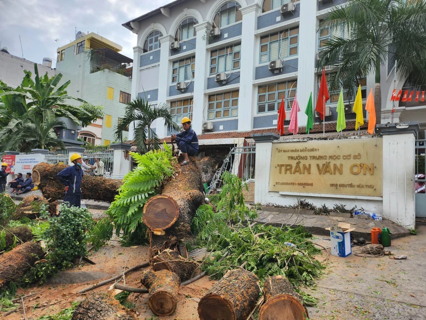Nhân viên Công ty TNHH MTV Công viên cây xanh TP.HCM đang dọn dẹp tại hiện trường. Ảnh: NGUYỄN QUYÊN