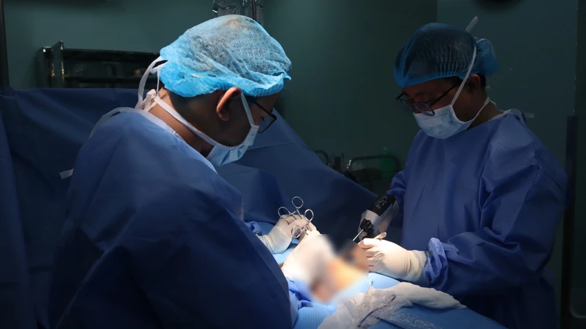 bị heo táp rách cơ quan sinh dục