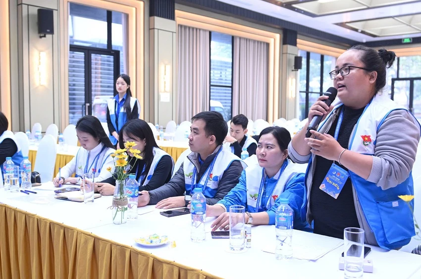 hoạt động tình nguyện năm 2024