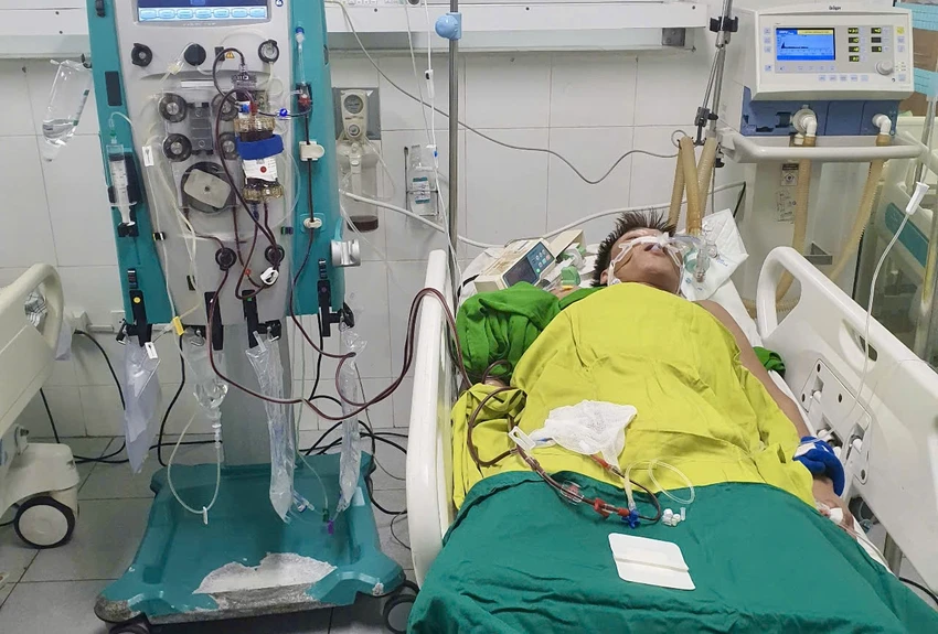 ngngộ độc thuốc diệt cỏ