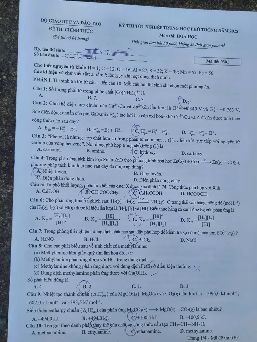 h11.jpg