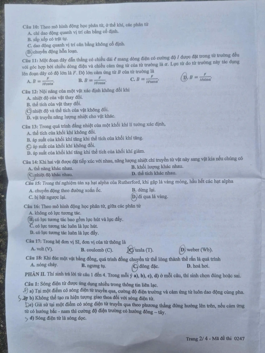 vl2.jpg