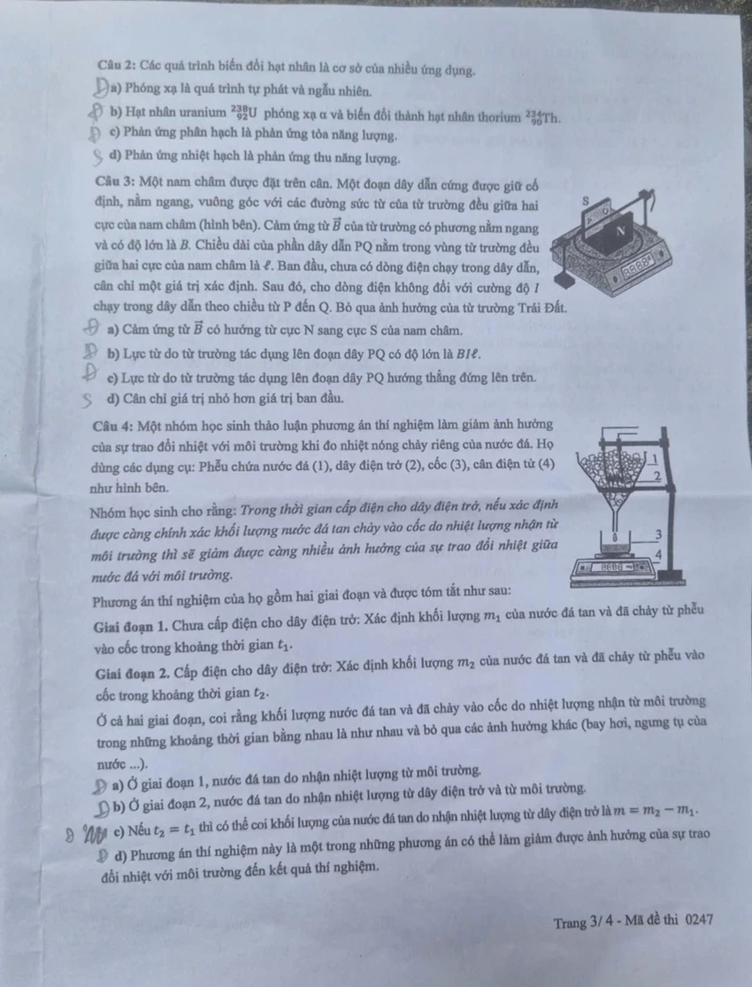 vl3.jpg