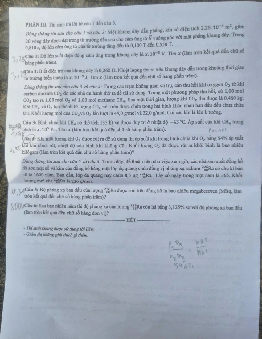 vl4.jpg