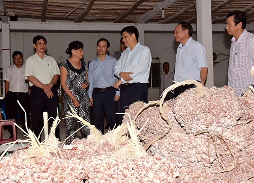 Sự thật việc nhiều người bị mù do bóc hành tím ảnh 1 Sự thật việc nhiều người bị mù do bóc hành tím ảnh 1