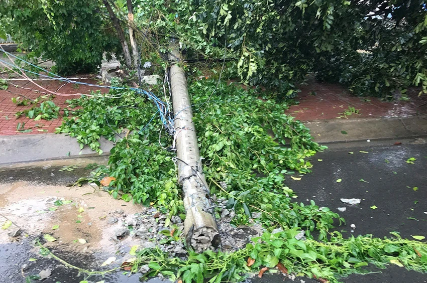Tây Nguyên đang hứng bão số 12 ảnh 3 Tây Nguyên đang hứng bão số 12 ảnh 3