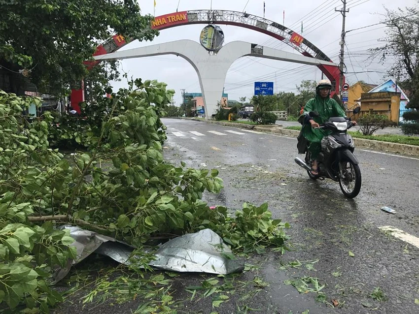 Bão 12 làm 37 người chết, mất tích, hỏng gần 24.000 nhà ảnh 5 Bão 12 làm 37 người chết, mất tích, hỏng gần 24.000 nhà ảnh 5