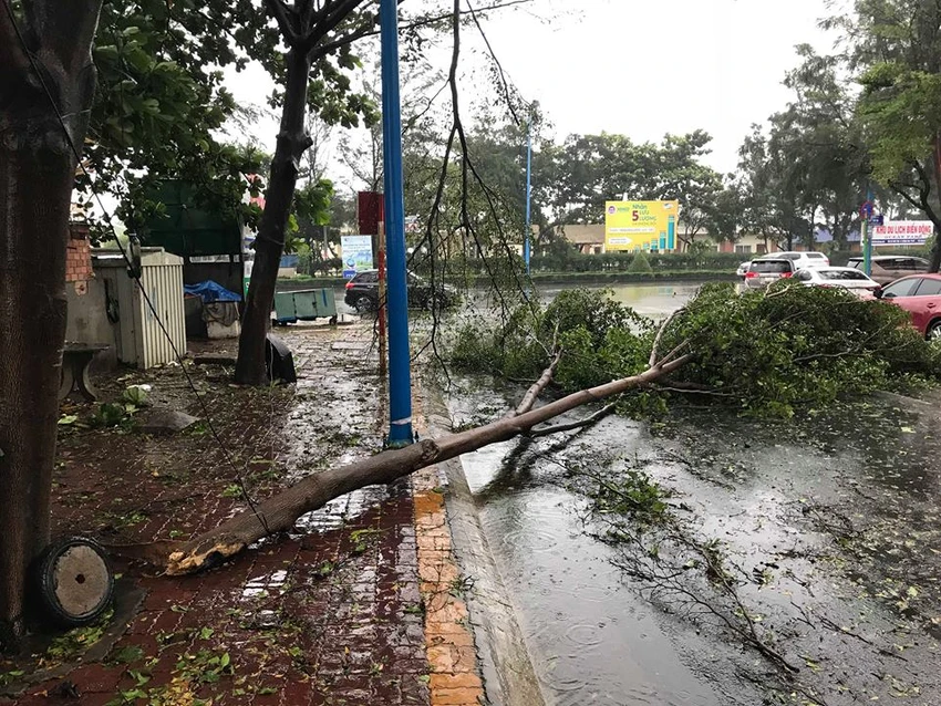 Bão vào Vũng Tàu, mưa to hoành hành khắp miền Nam ảnh 2 Bão vào Vũng Tàu, mưa to hoành hành khắp miền Nam ảnh 2