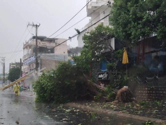 Bão số 12 đã gây thiệt hại tại Phú Yên, Khánh Hòa ảnh 5 Bão số 12 đã gây thiệt hại tại Phú Yên, Khánh Hòa ảnh 5