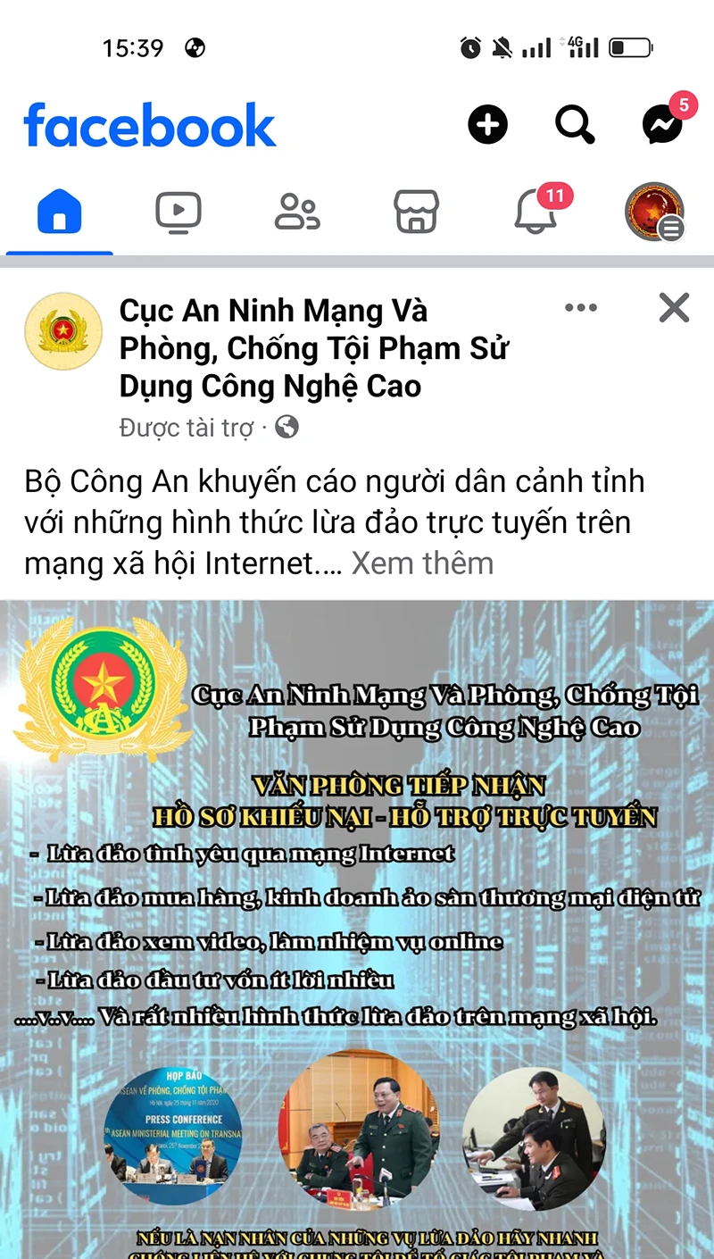 cac-trang-mang-lua-dao2.jpg
