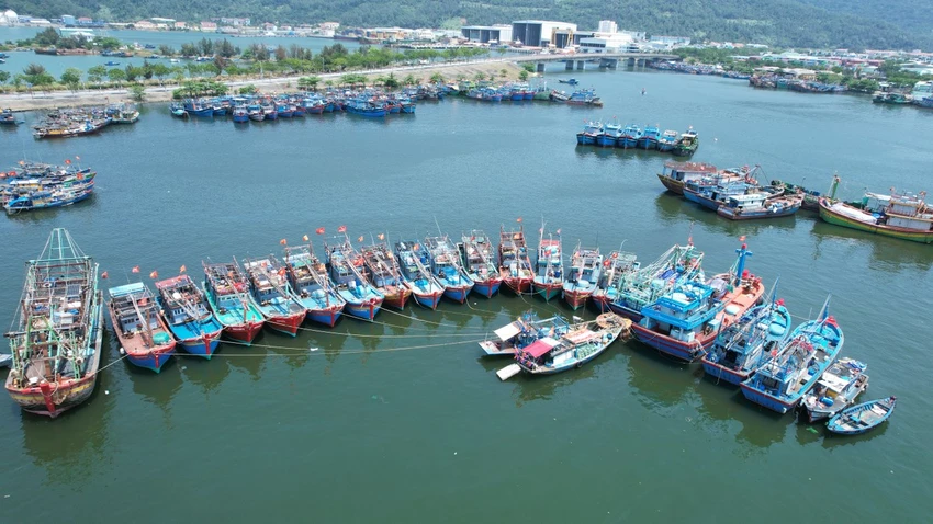 Chính phủ ban hành chương trình hành động về chống khai thác IUU-da-nang-chong-khai-thac-iuu-vi-quyen-loi-cua-ngu-dan.jpg
