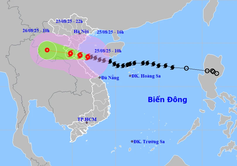 bao-so-5.png