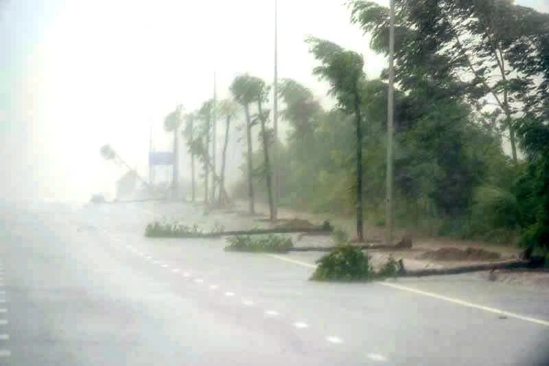dangtrung_chieu11.jpg