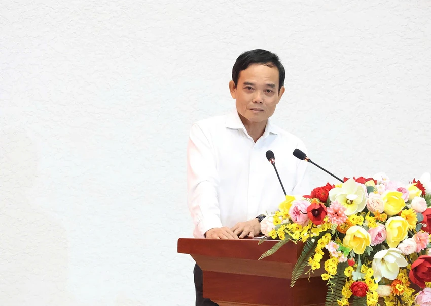 tran-luu-quang.jpg
