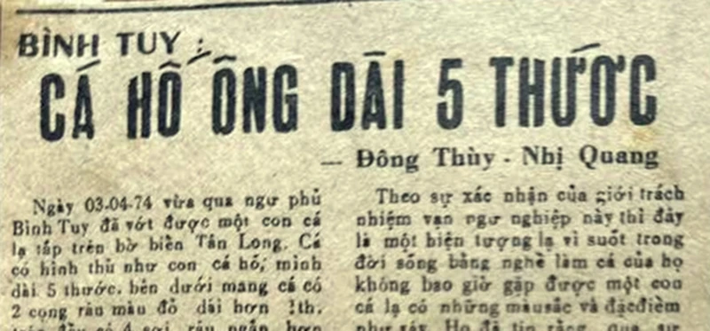 sua_ca-ho-rong.jpg
