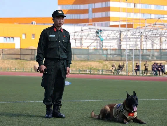 cho-nghiep-vu-canh-sar-co-dong.jpg