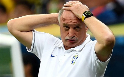 HLV Scolari của ĐT Brazil chính thức từ chức ảnh 1