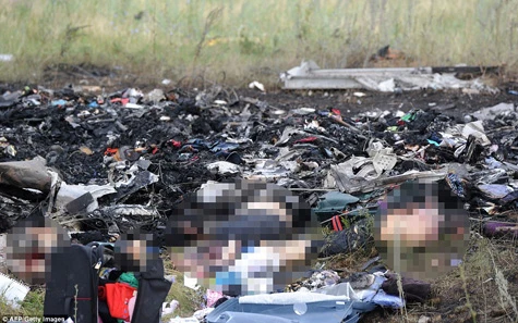 Nạn nhân vụ MH17 từ trên trời xuyên qua mái nhà rơi thẳng xuống bếp của dân địa phương ảnh 1