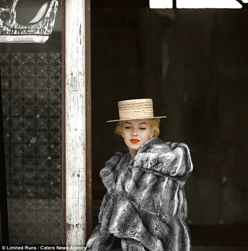 Những bức ảnh chưa từng được công bố của Marilyn Monroe ảnh 6