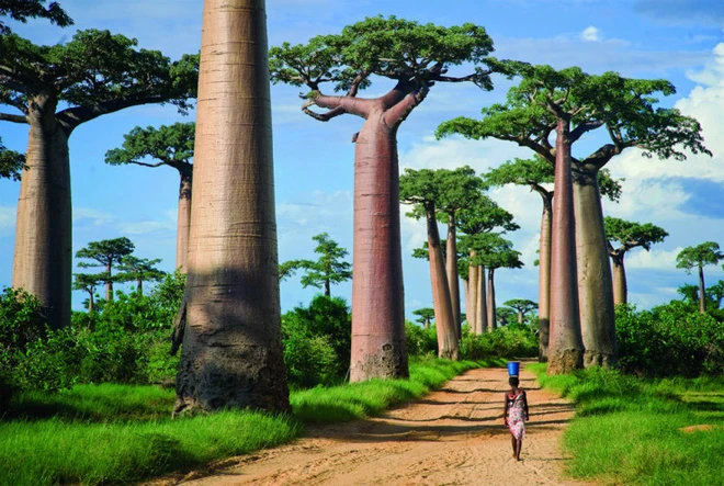 Ngất ngây chiêm ngưỡng những con đường đẹp bậc nhất thế giới ảnh 2 Ngất ngây chiêm ngưỡng những con đường đẹp bậc nhất thế giới ảnh 2