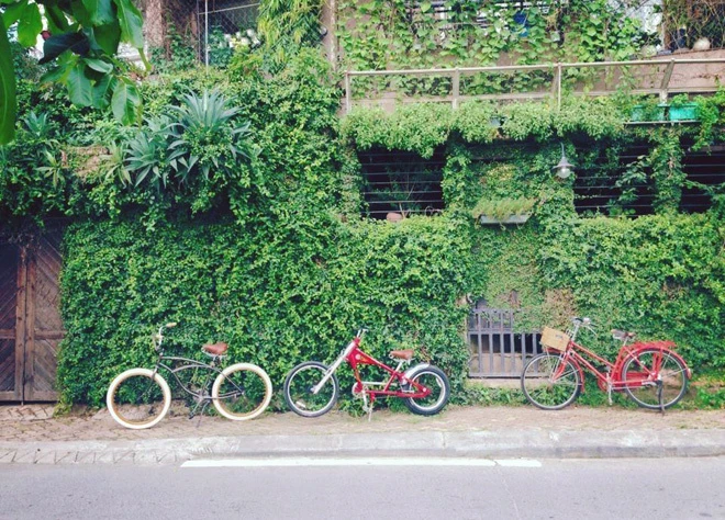 Những căn nhà phủ cây xanh mướt bên bờ hồ Tây ảnh 1 Những căn nhà phủ cây xanh mướt bên bờ hồ Tây ảnh 1