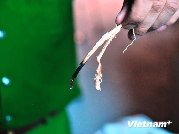 Cận cảnh gần 2 tấn mực khô cháy thì khét lẹt, nhúng nước thì co dãn như cao su ảnh 5