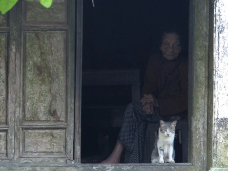 làng cổ Phước Tích làng cổ Phước Tích