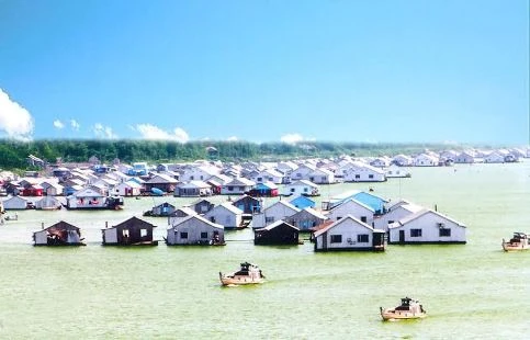 Nguyễn Minh Nhị, Bảy Nhị, cá ba sa, nông sản, nông dân, xuất khẩu, ngoại tệ